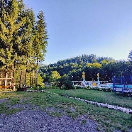 Cabana Cerbu Bozovici ภายนอก รูปภาพ